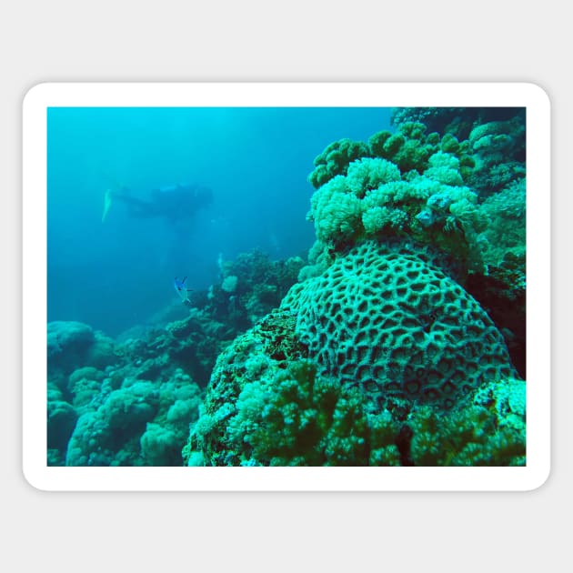 coral reef and scuba diver Sticker by likbatonboot